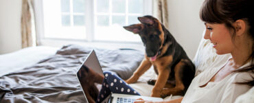 אישה בעידן הקורונה עובדת מהבית באופן היברידי ויושבת על המיטה שלה עם המחשב והכלב שלה